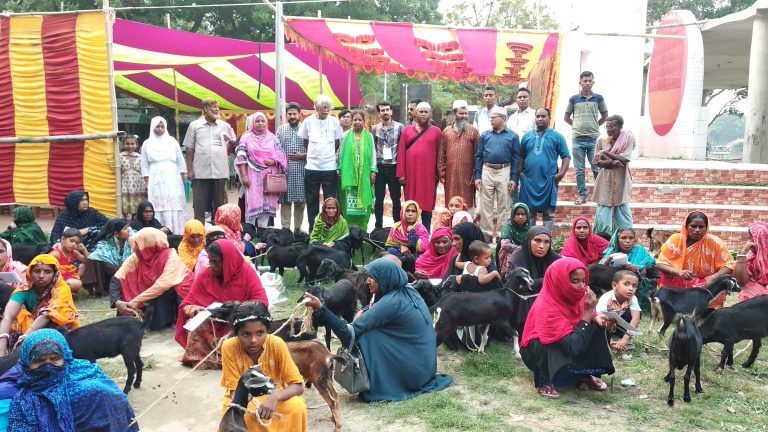 বাসাইলে ঠিকানা’র উদ্যোগে অসহায়, বিধবা ও দূস্থ মহিলাদের মাঝে ৪১টি ছাগল বিতরণ