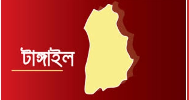 সখীপুরে মেয়ের বাড়িতে গিয়ে বৃদ্ধার আত্মহত্যা