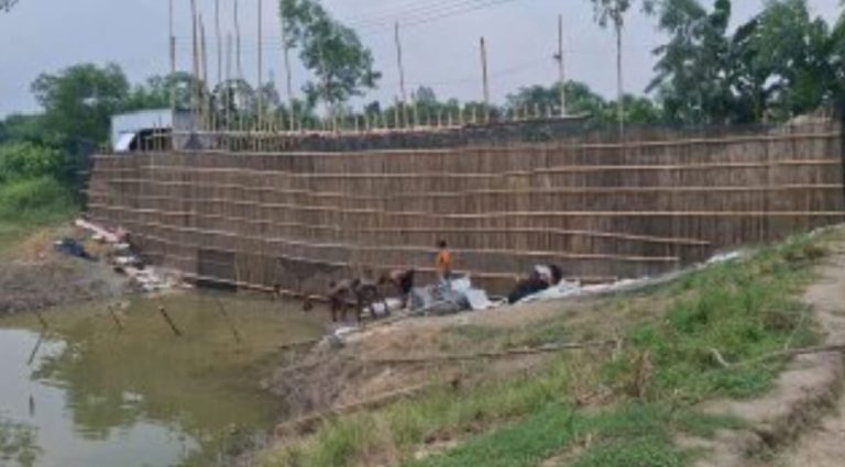টাঙ্গাইলে জলাশয় ইজারার নামে অবৈধভাবে ২০০ একর জমিতে মাছ চাষের ফাঁদ!