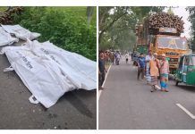 টাঙ্গাইলে বাঁশ বোঝাই ট্রাকের পেছনে মুরগিবাহী ট্রাকের ধাক্কা; নিহত ৪