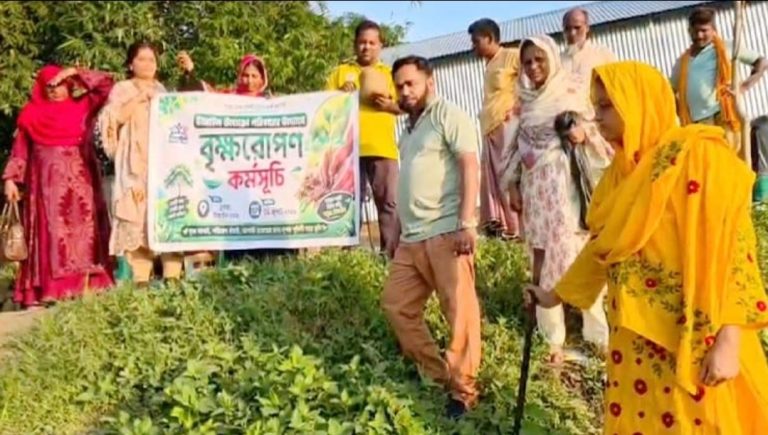 টাঙ্গাইলে উদ্যোক্তা পরিবারের উদ্যোগে বৃক্ষরোপণ কর্মসূচি