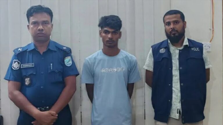 বাসাইলে নারীকে উত্ত্যক্তের দায়ে যুবকের কারাদণ্ড