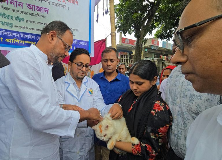 টাঙ্গাইলে বিনামূল্যে প্রাণিসেবা ও টিকাদান, শিক্ষার্থীদের মাঝে গাছের চারা বিতরণ