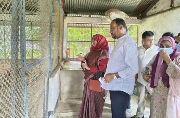 কেন্দ্রীয় মুরগি খামারে বাচ্চা উৎপাদন বাড়ানোর নির্দেশ প্রতিমন্ত্রী টুকুর