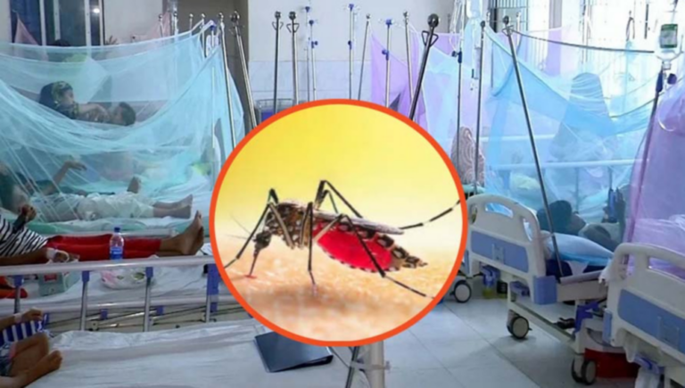 ২৪ ঘণ্টায় ডেঙ্গুতে ৬ জনের মৃত্যু, হাসপাতালে ভর্তি ১৫৯৩